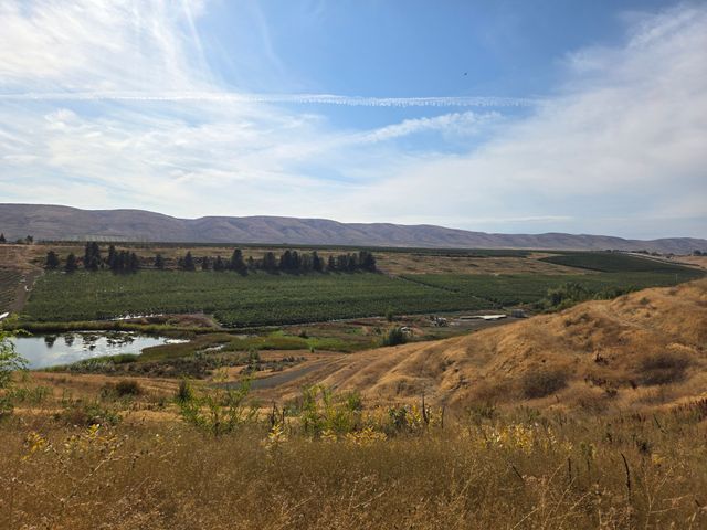 Gilbert Orchards Inc image 1