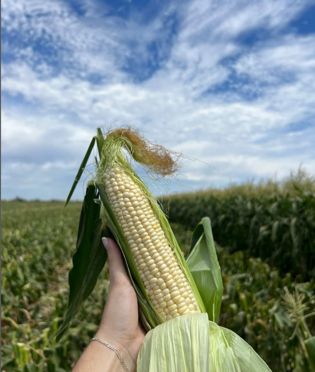 Dwelley Farms image 15
