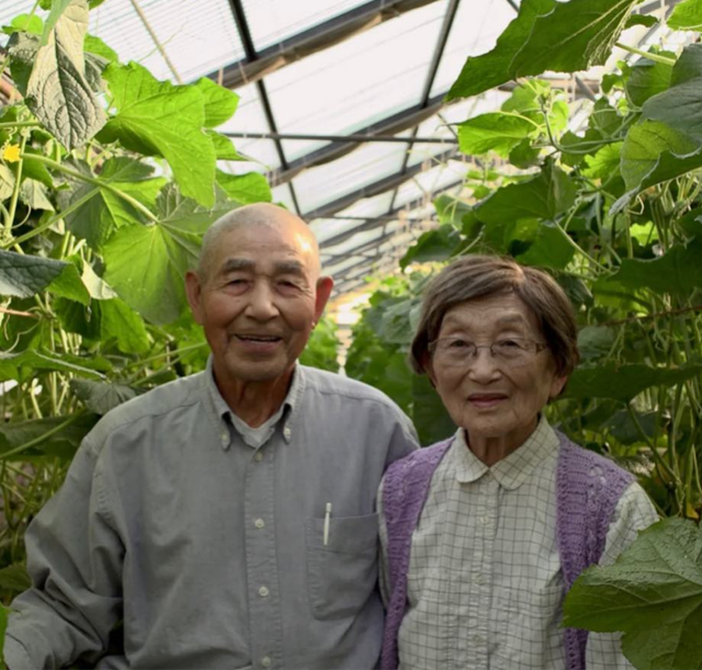 Hikari Farms image 3