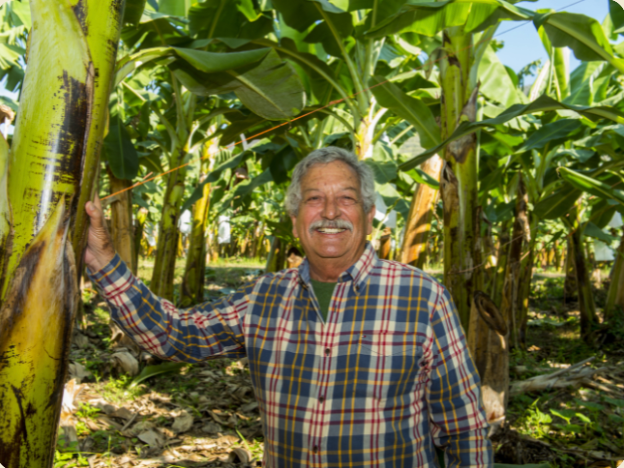 GROW Organics image 4