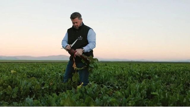 Spinaca Farms image 6
