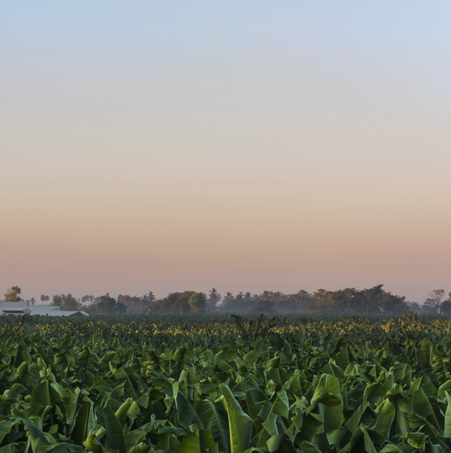 GROW Organics image 8