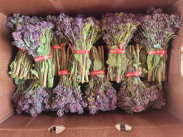 Narci Organic Farm image 7