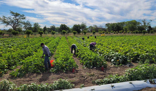 Comanche Creek Farm image 3