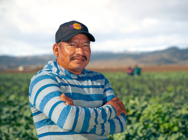 Coyo Organico image 1