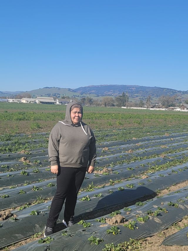 Ambrosio Organic Farm image 1