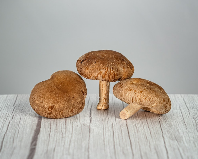 Sumano's Organic Mushrooms image 5
