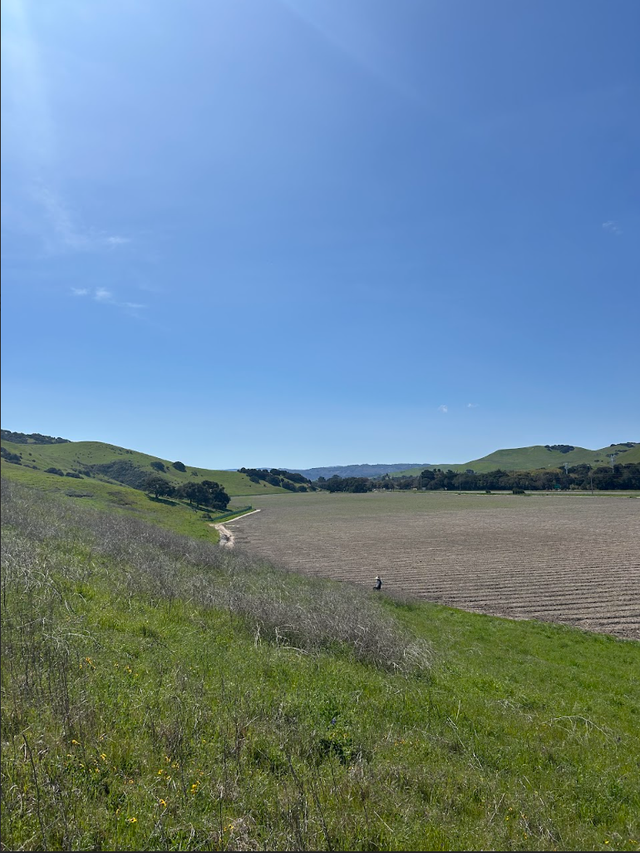 Regenerative California image 3