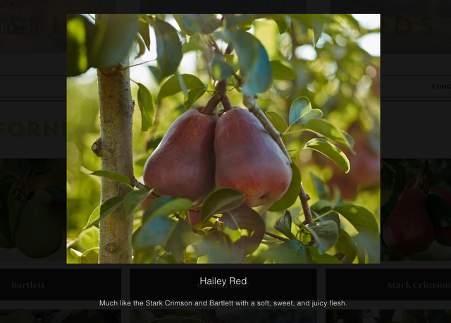 Stillwater Orchards image 8