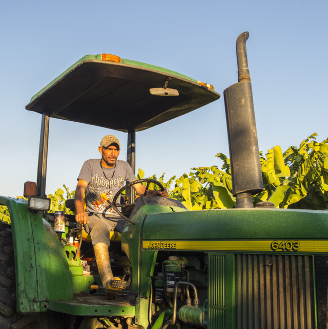 GROW Organics image 15