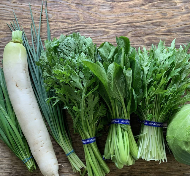 Hikari Farms image 5