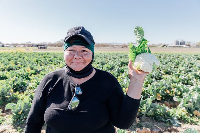 Catalán Farms image 3