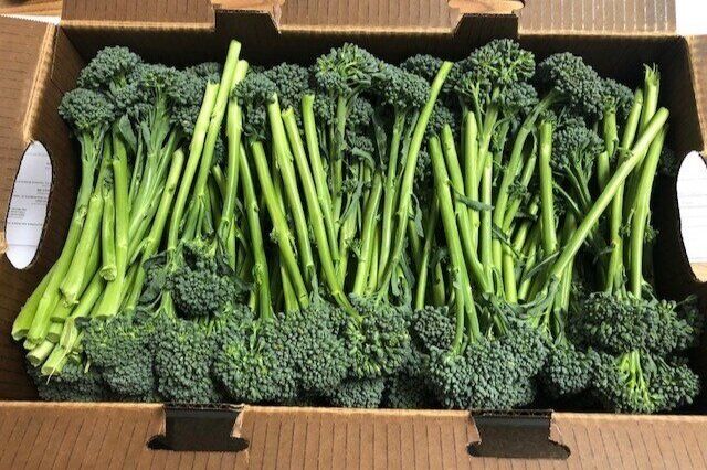 Access Organics image 4