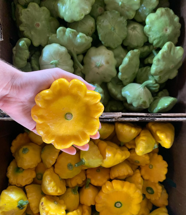 Dwelley Farms image 8