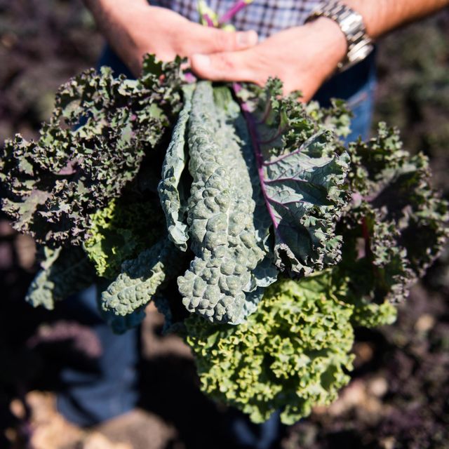 Spinaca Farms image 3