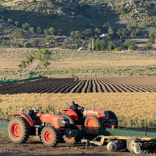 Brodasi Inc. DBA Dosner Organic Farms image 2