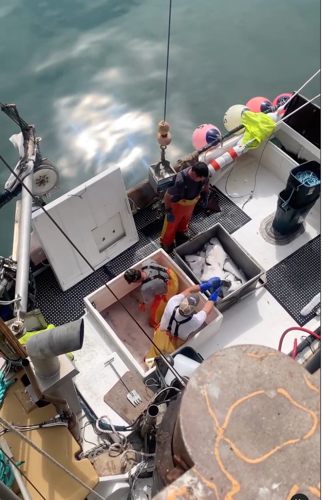 Port Orford Sustainable Seafood image 11