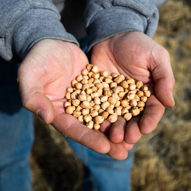 Prairie Sun Farms image 1