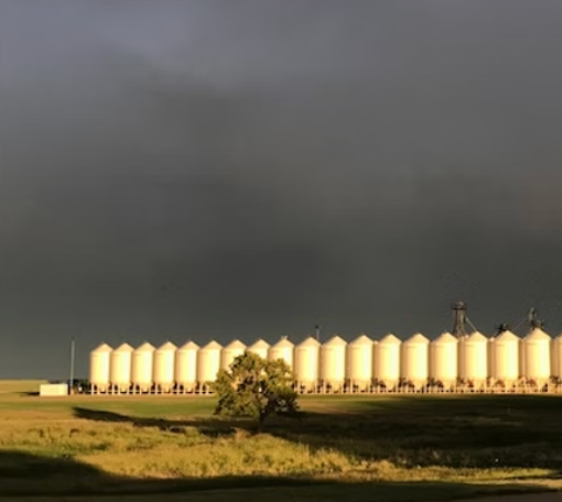 Stonehenge Organics image 4