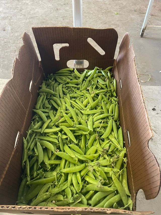 World's Finest Farms image 2