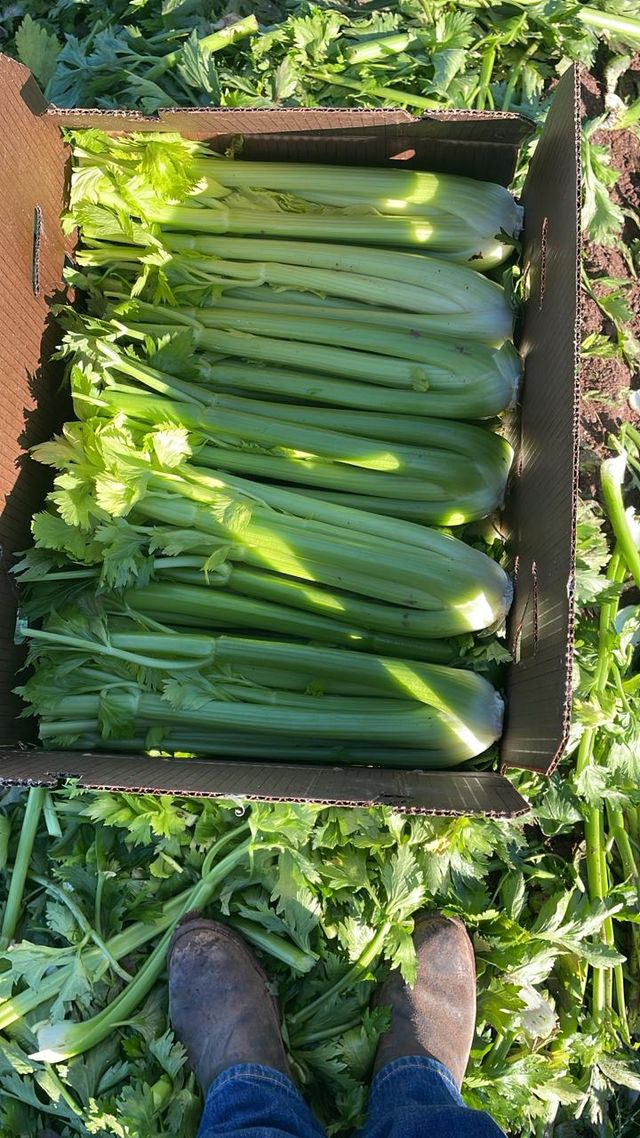 Tropical Growers Direct, LLC image 1