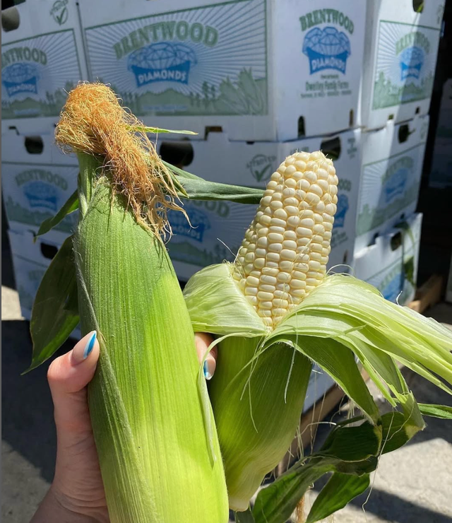 Dwelley Farms image 17