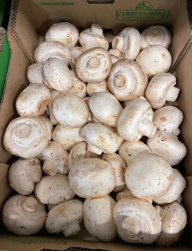 Premier Mushrooms image 9