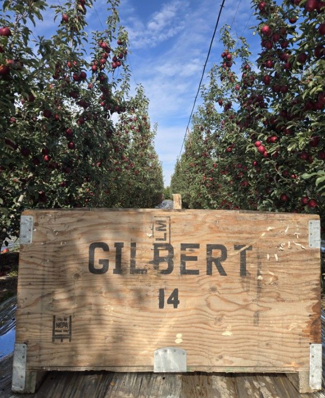Gilbert Orchards Inc image 3