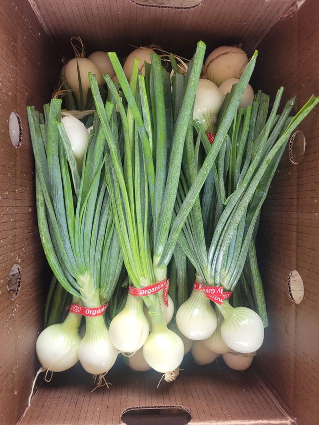 Narci Organic Farm image 9