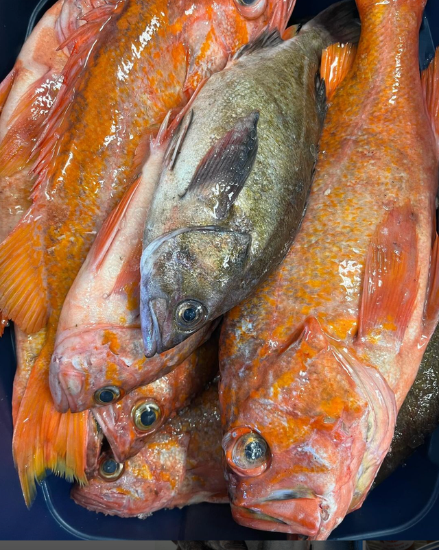 Port Orford Sustainable Seafood image 9