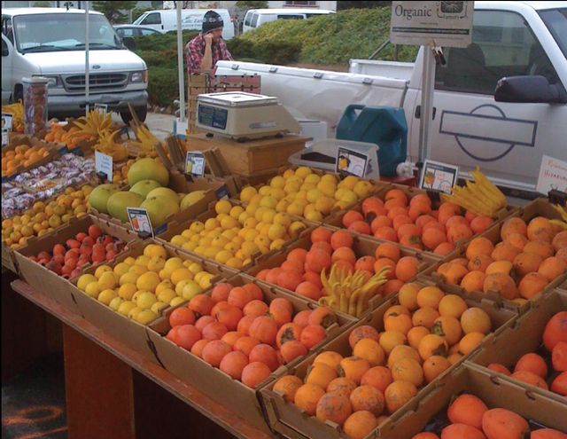 Blossom Bluff Orchards image 6