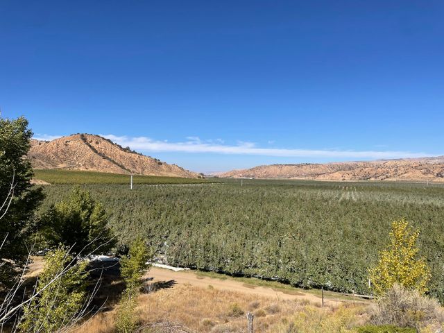 Cuyama Orchards image 5