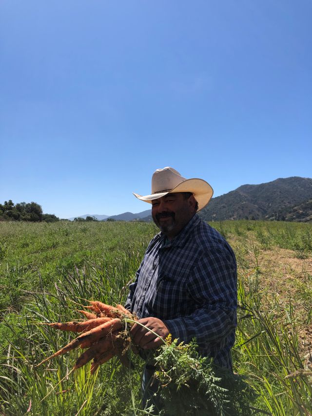 Alcantar Family Farm image 4
