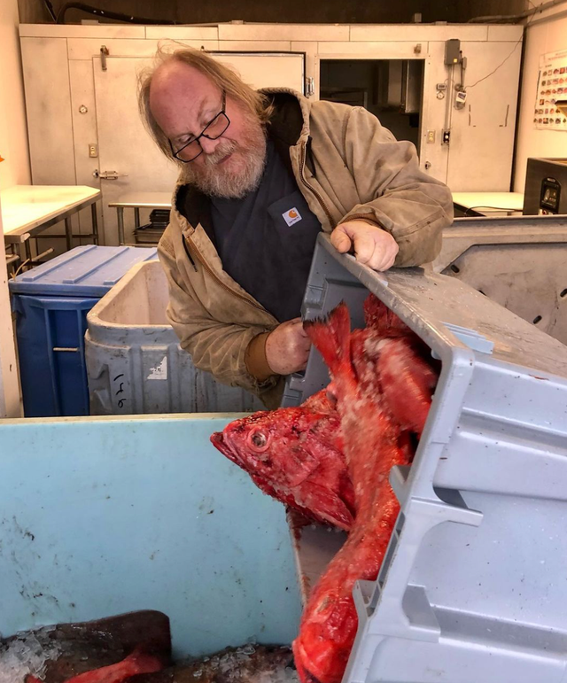 Port Orford Sustainable Seafood image 15