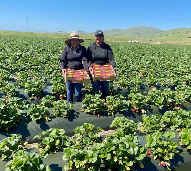 Mimis Organic Farms image 4