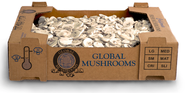 Global Mushrooms image 9