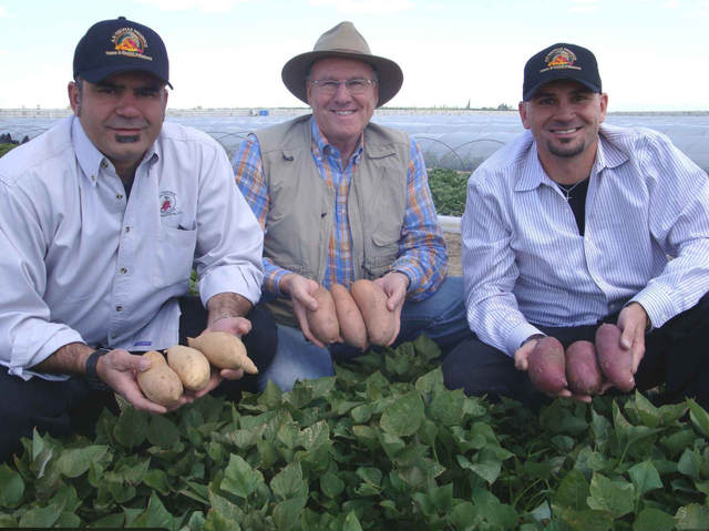 A.V. Thomas Produce image 1