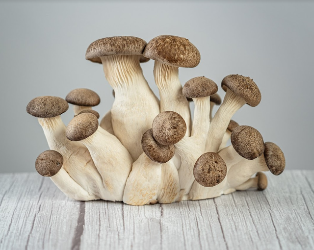Sumano's Organic Mushrooms image 1