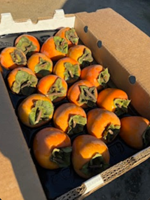 Blossom Bluff Orchards image 16