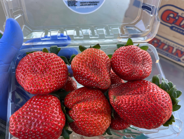 Cal Giant Berries image 3