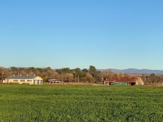 Comanche Creek Farm image 2