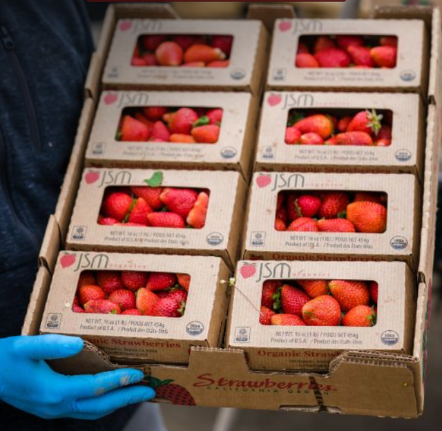 JSM Organics image 13