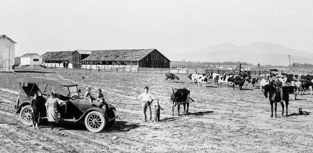 Spinaca Farms image 5