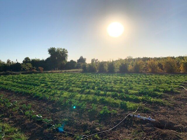 Comanche Creek Farm image 1