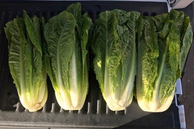 Access Organics image 2