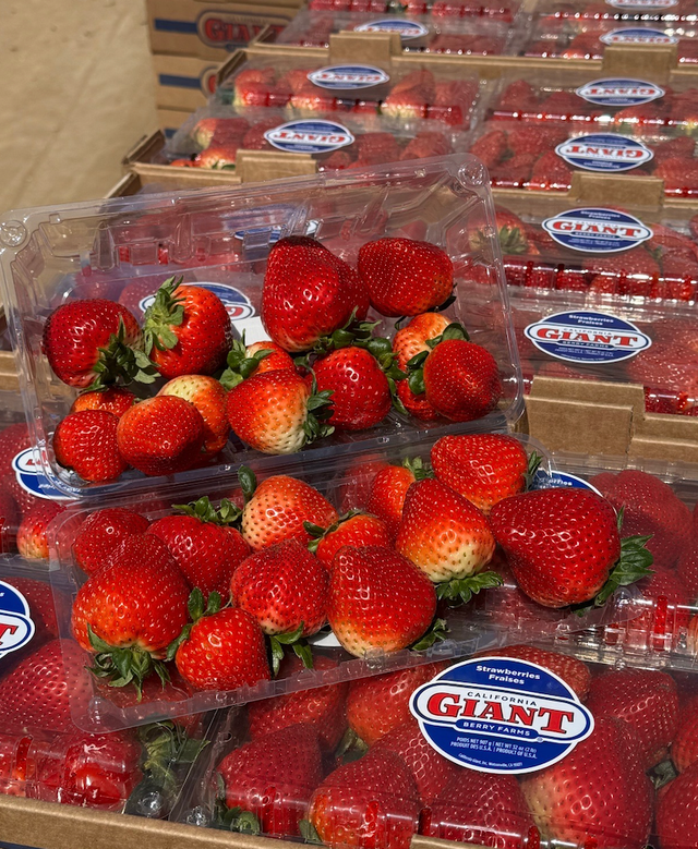 Cal Giant Berries image 1