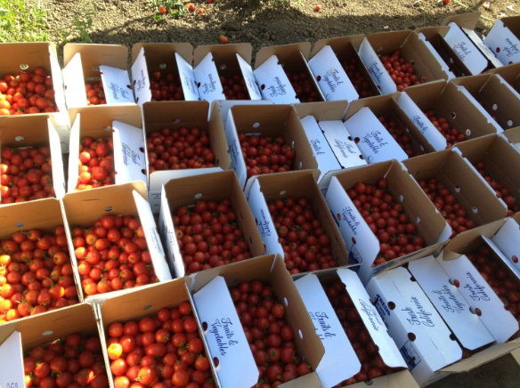 Live Earth Farm image 1