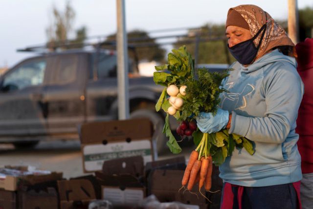 Narci Organic Farm image 4