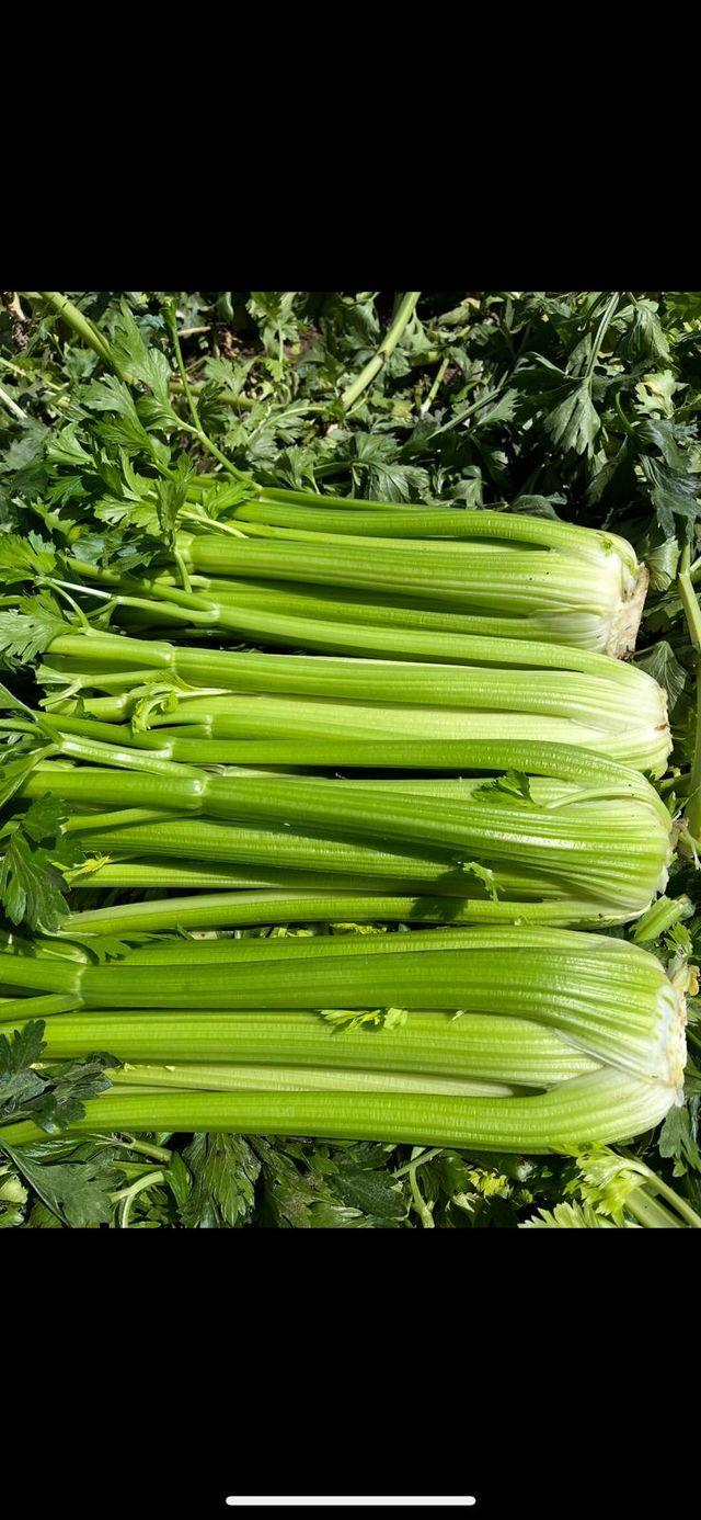 Tropical Growers Direct, LLC image 2