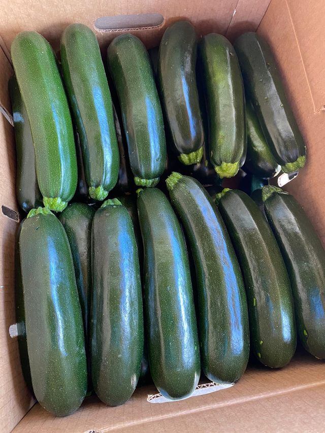 Bucio Organic Farm image 6